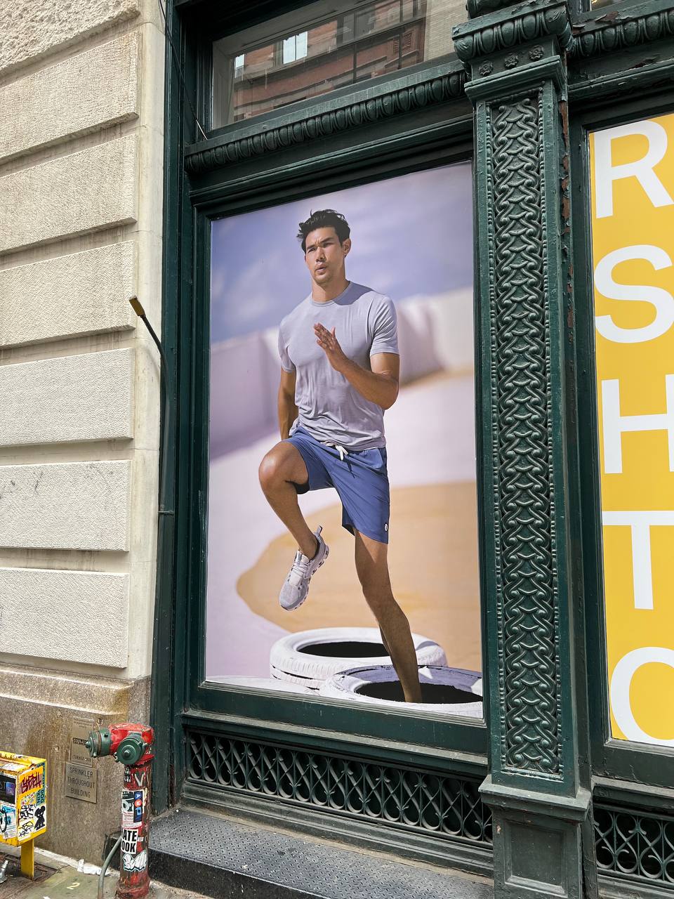 full window wrap service ny